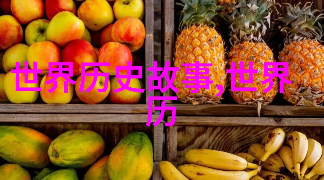 发明雨衣