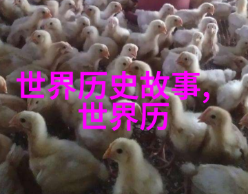 马背上最美的女人