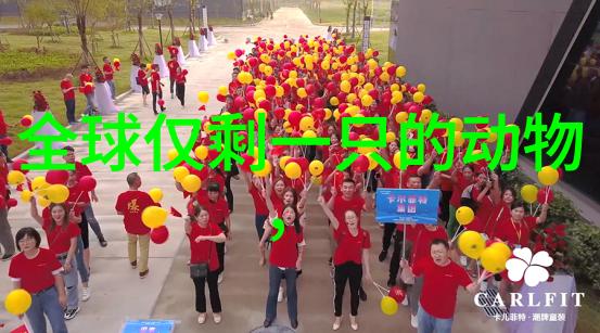 龙头金钗故事 中国民间故事